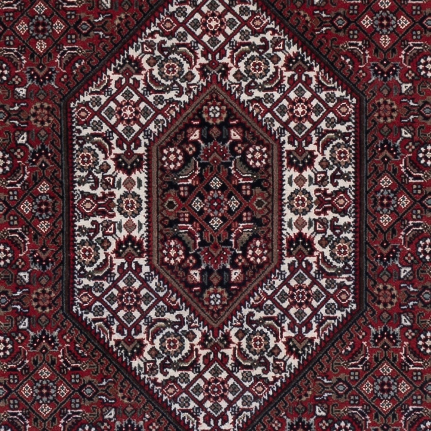 Tappeto orientale - Bidjar - Indo - 184 x 121 cm - beige scuro