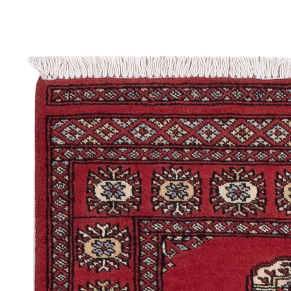 Tappeto corsia Tappeto Pakistani - 272 x 80 cm - rosso
