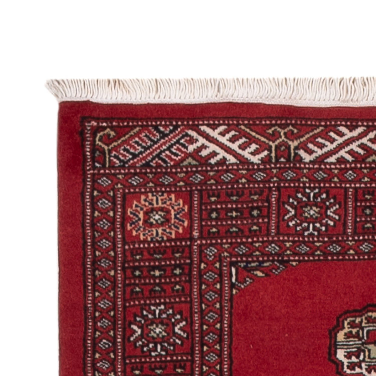 Tappeto corsia Tappeto Pakistani - 319 x 81 cm - rosso