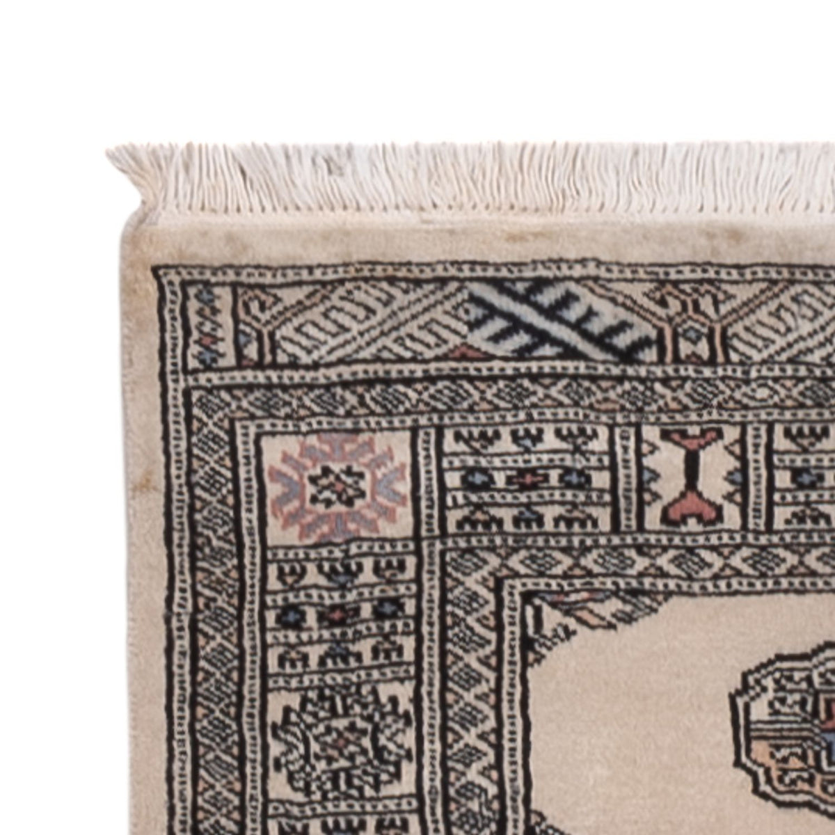 Tappeto corsia Tappeto Pakistani - 341 x 77 cm - beige