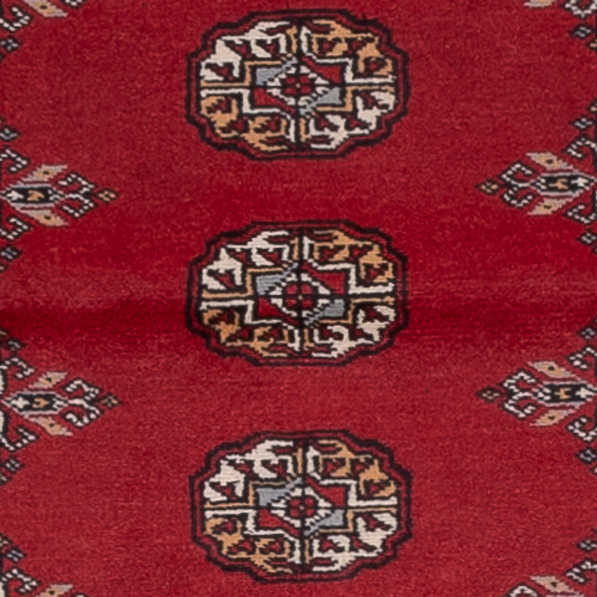 Tappeto corsia Tappeto Pakistani - 289 x 78 cm - rosso