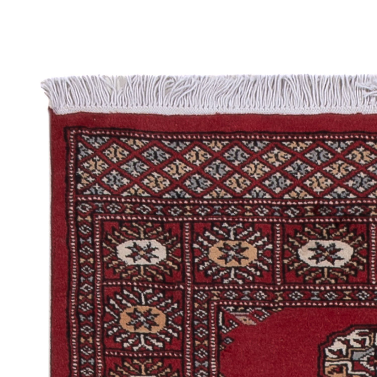 Tappeto corsia Tappeto Pakistani - 289 x 78 cm - rosso