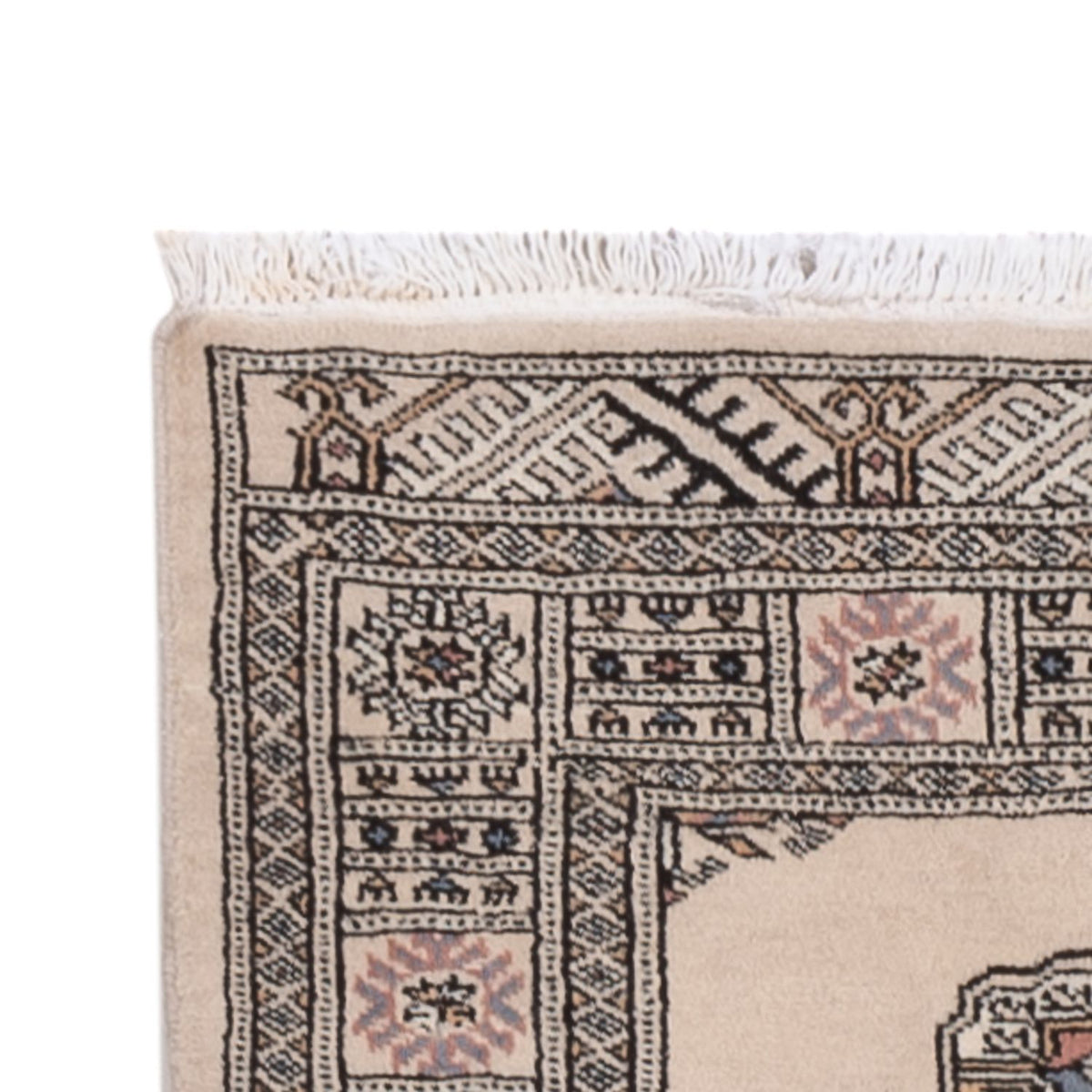 Tappeto corsia Tappeto Pakistani - 310 x 79 cm - beige