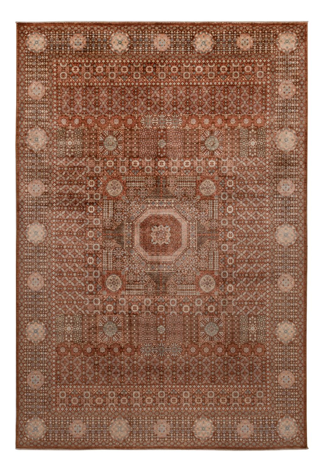 Tappeto Ziegler - Ariana - 357 x 247 cm - beige scuro