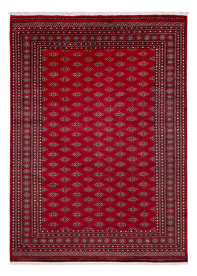 Tappeto afgano - Bukhara - 350 x 253 cm - rosso