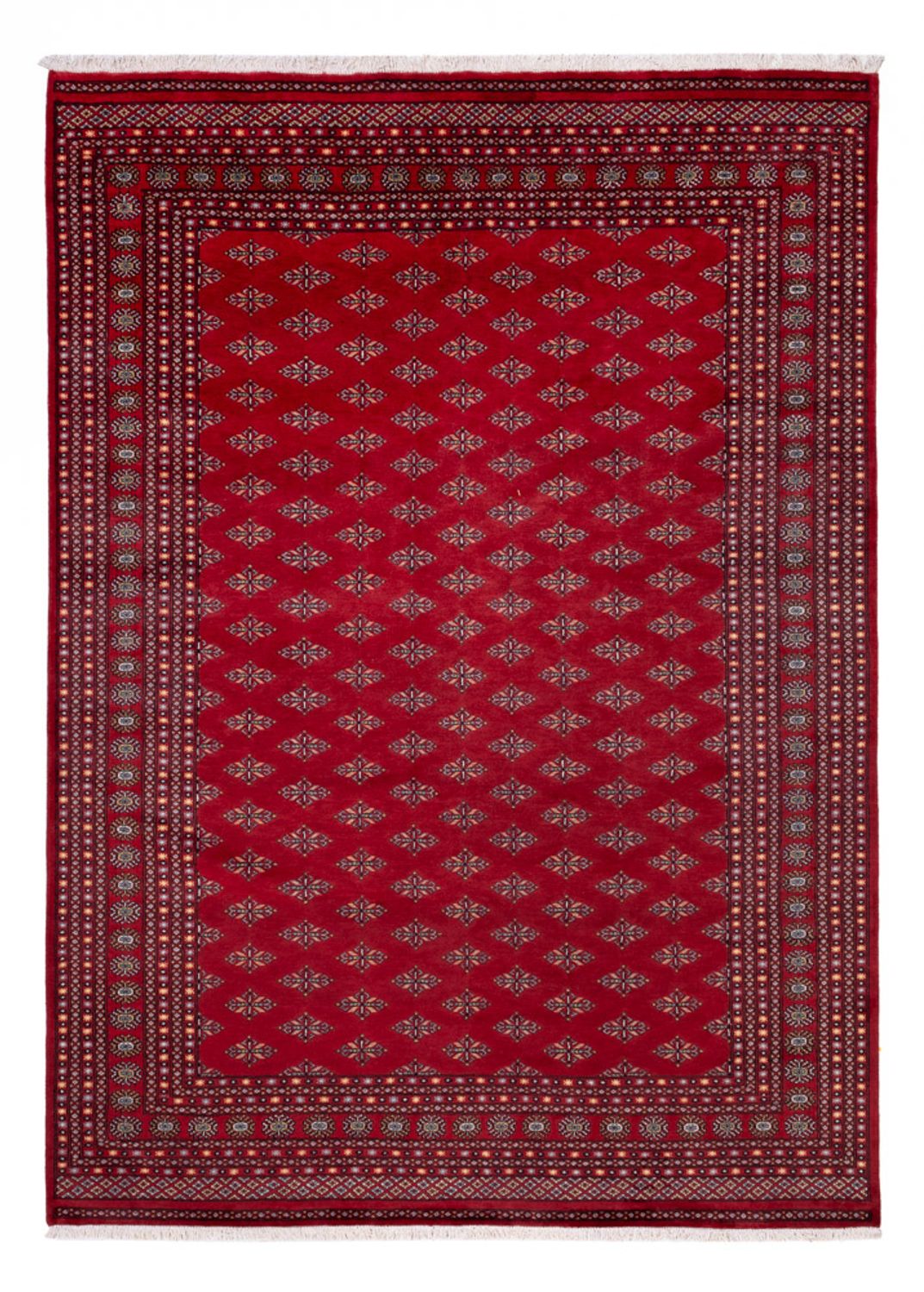 Tappeto afgano - Bukhara - 350 x 253 cm - rosso