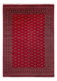 Tappeto afgano - Bukhara - 350 x 253 cm - rosso