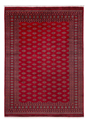 Tappeto afgano - Bukhara - 350 x 253 cm - rosso