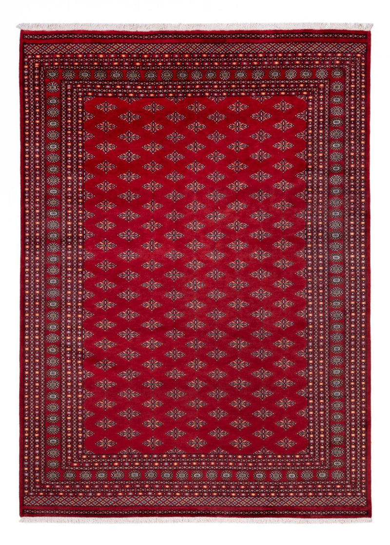 Tappeto afgano - Bukhara - 350 x 253 cm - rosso