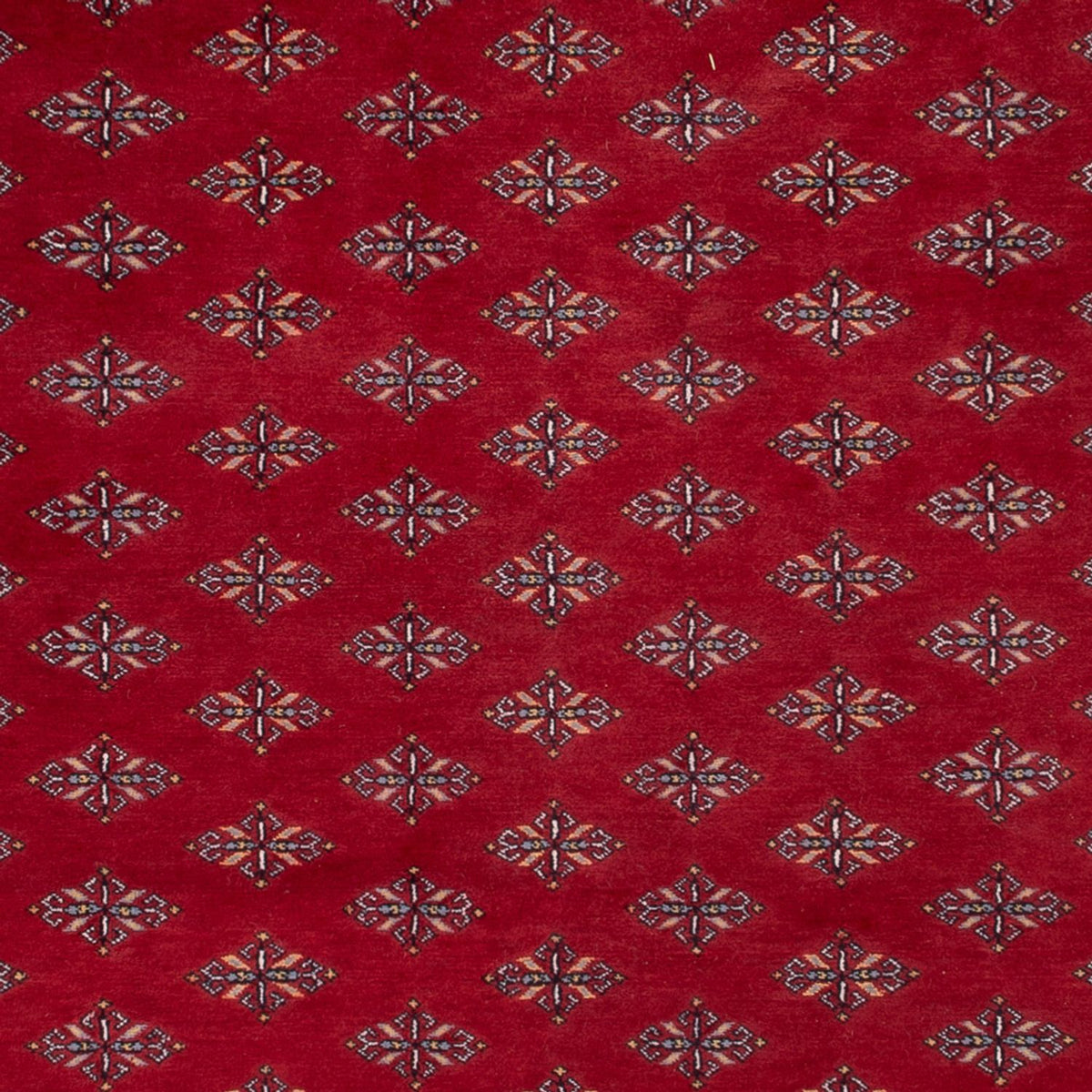 Tappeto afgano - Bukhara - 350 x 253 cm - rosso