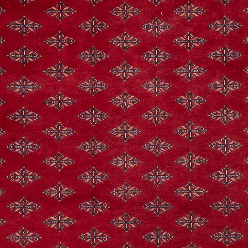 Tappeto afgano - Bukhara - 350 x 253 cm - rosso