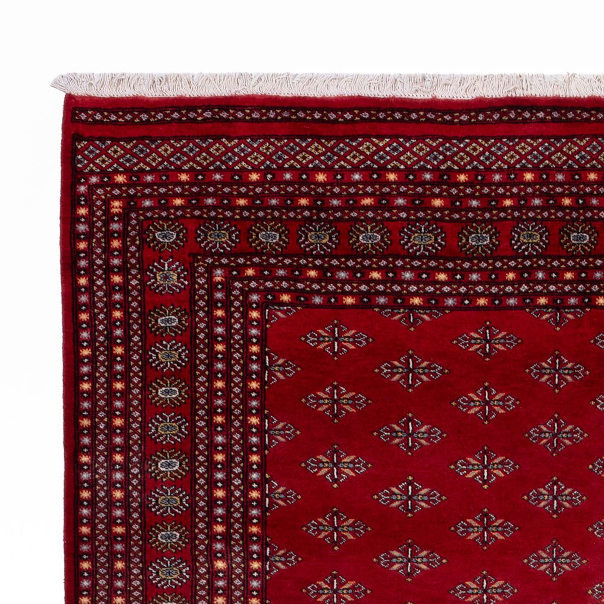 Tappeto afgano - Bukhara - 350 x 253 cm - rosso