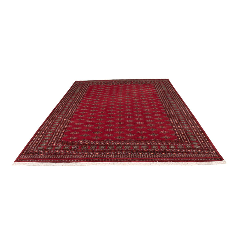 Tappeto afgano - Bukhara - 350 x 253 cm - rosso