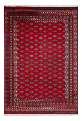 Tappeto afgano - Bukhara - 365 x 249 cm - rosso