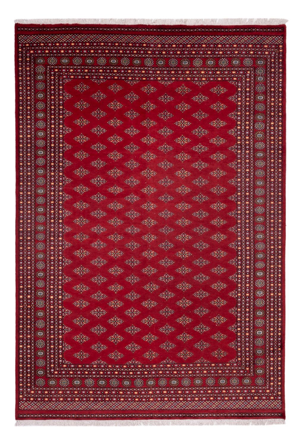 Tappeto afgano - Bukhara - 365 x 249 cm - rosso