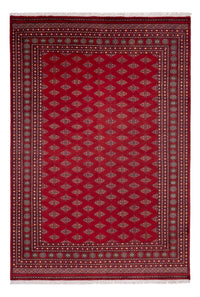 Tappeto afgano - Bukhara - 365 x 249 cm - rosso