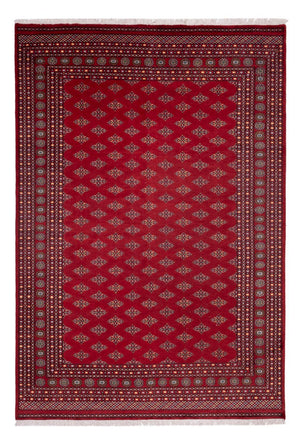 Tappeto afgano - Bukhara - 365 x 249 cm - rosso