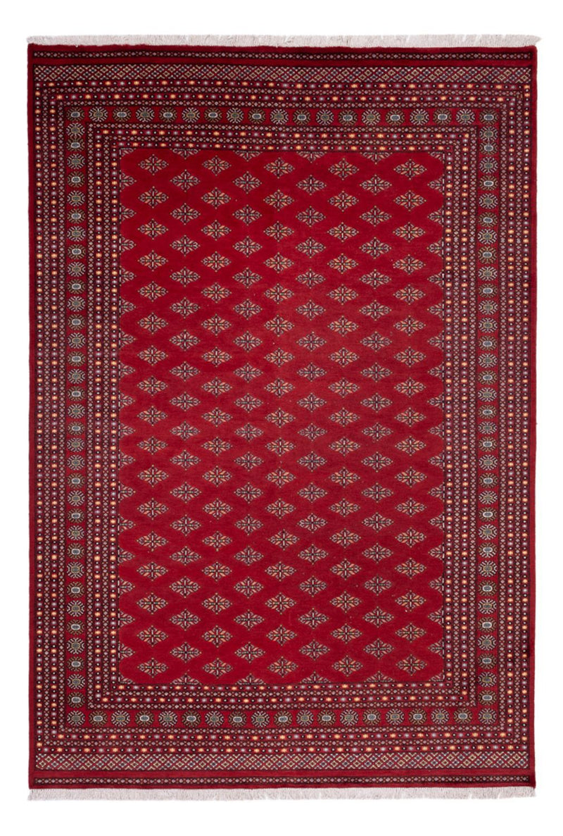 Tappeto afgano - Bukhara - 365 x 249 cm - rosso