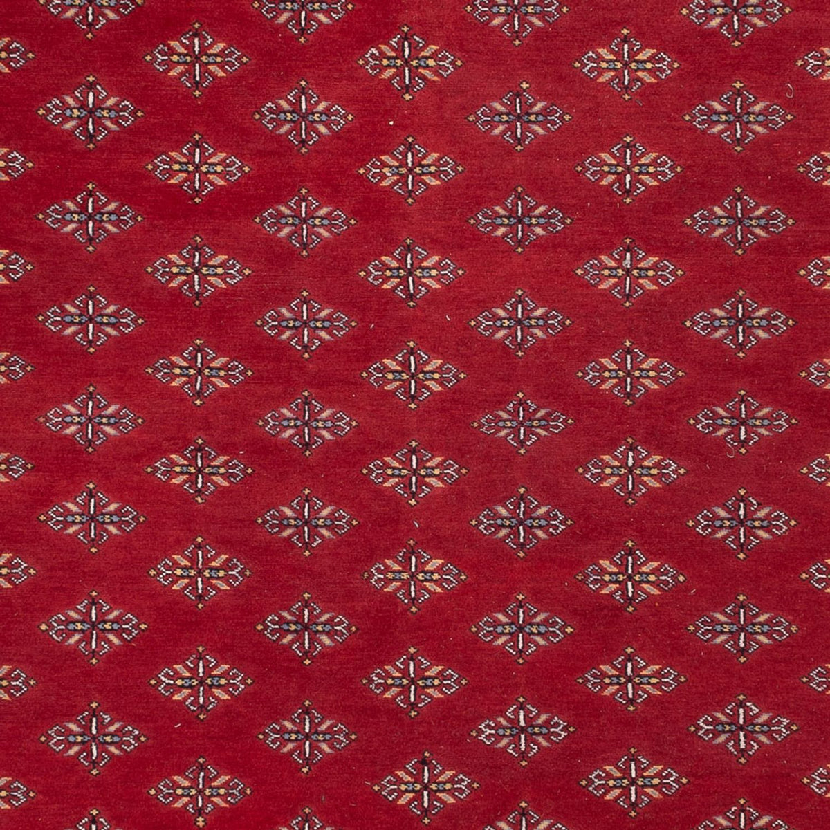 Tappeto afgano - Bukhara - 365 x 249 cm - rosso