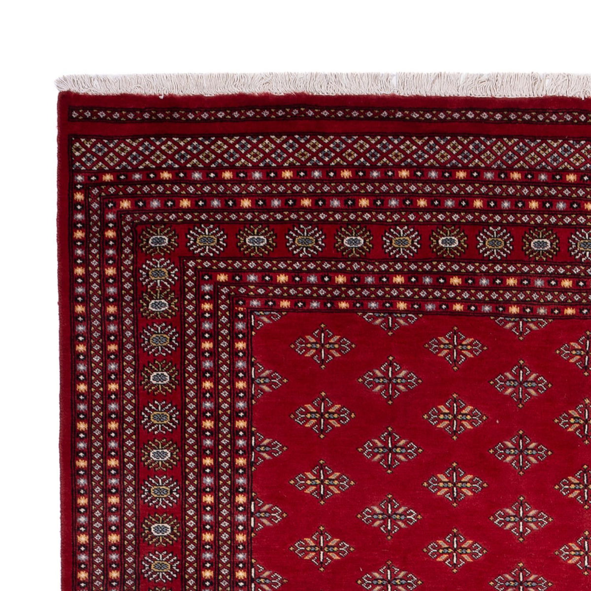Tappeto afgano - Bukhara - 365 x 249 cm - rosso