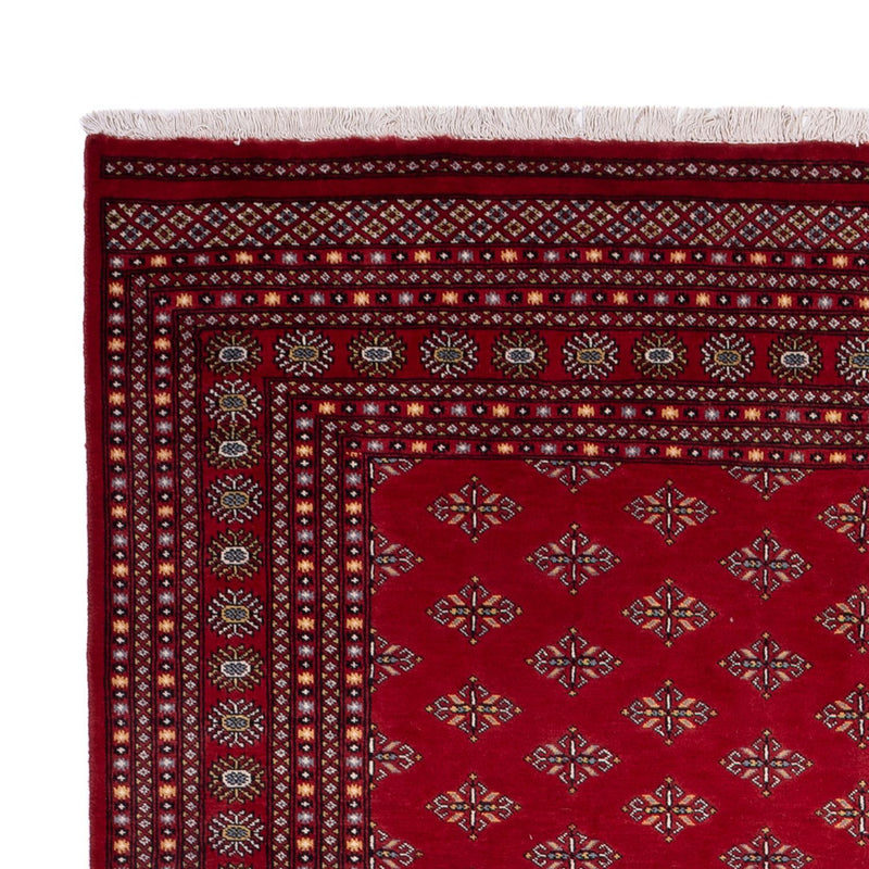 Tappeto afgano - Bukhara - 365 x 249 cm - rosso