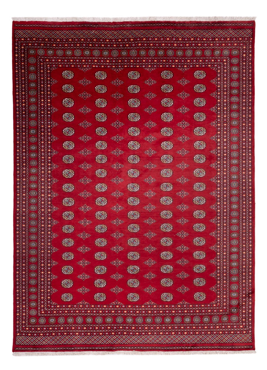 Tappeto afgano - Bukhara - 380 x 277 cm - rosso