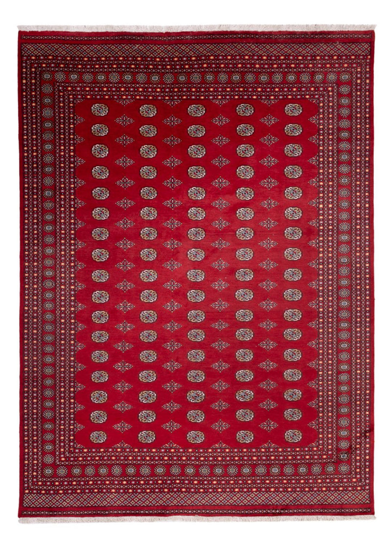 Tappeto afgano - Bukhara - 380 x 277 cm - rosso