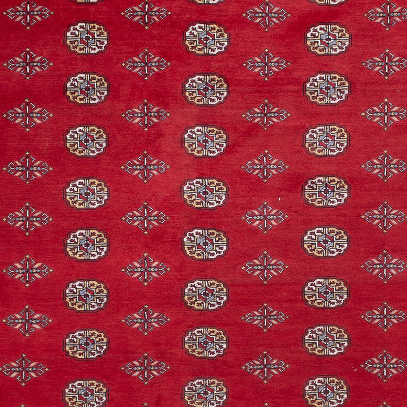 Tappeto afgano - Bukhara - 380 x 277 cm - rosso