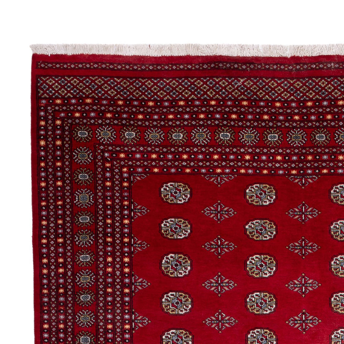 Tappeto afgano - Bukhara - 380 x 277 cm - rosso