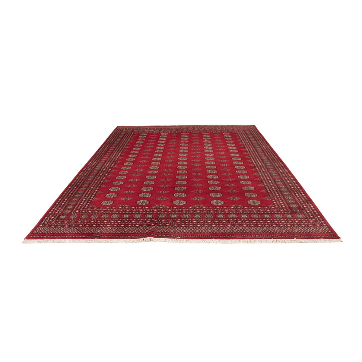 Tappeto afgano - Bukhara - 380 x 277 cm - rosso