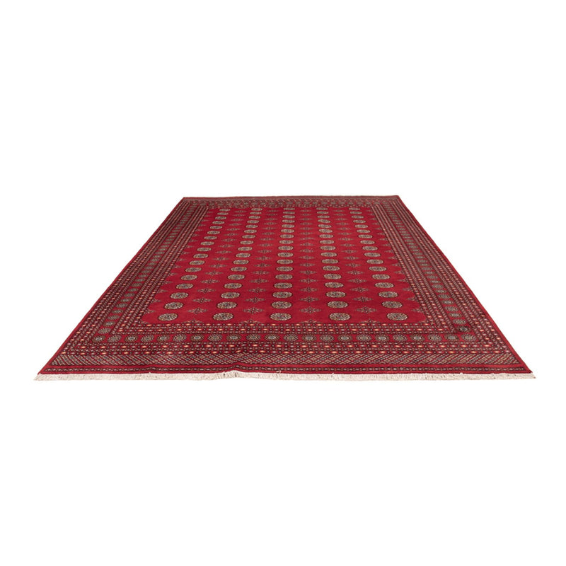 Tappeto afgano - Bukhara - 380 x 277 cm - rosso