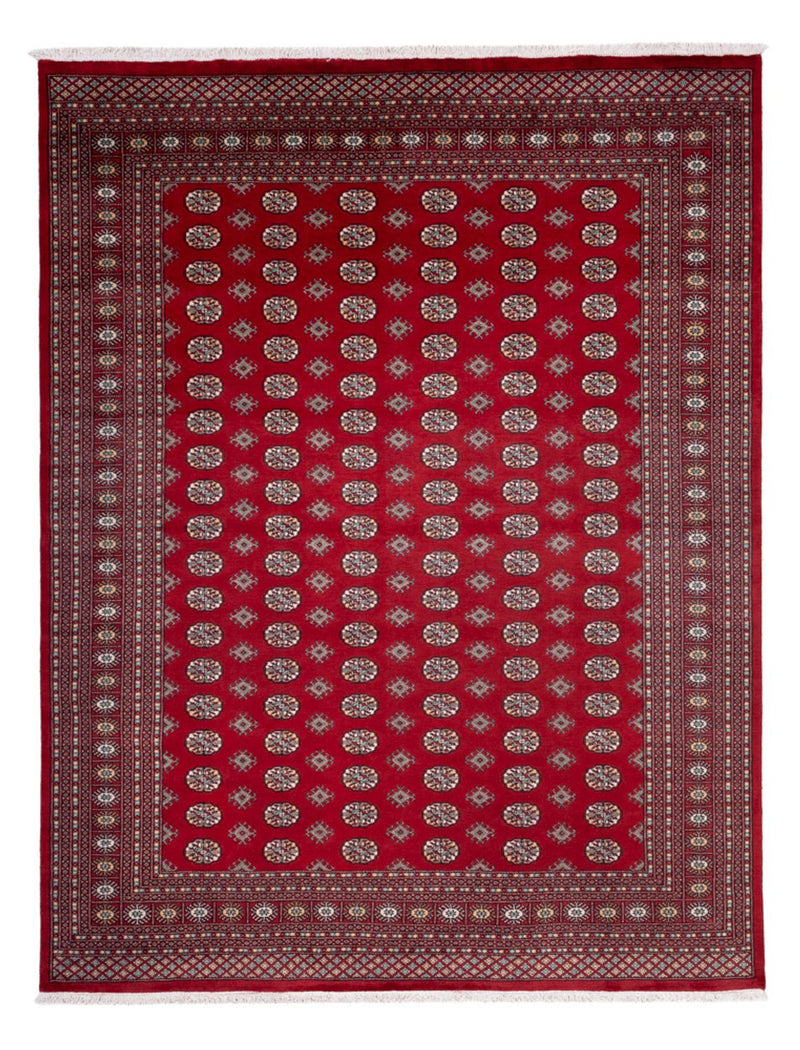 Tappeto afgano - Bukhara - 362 x 278 cm - rosso