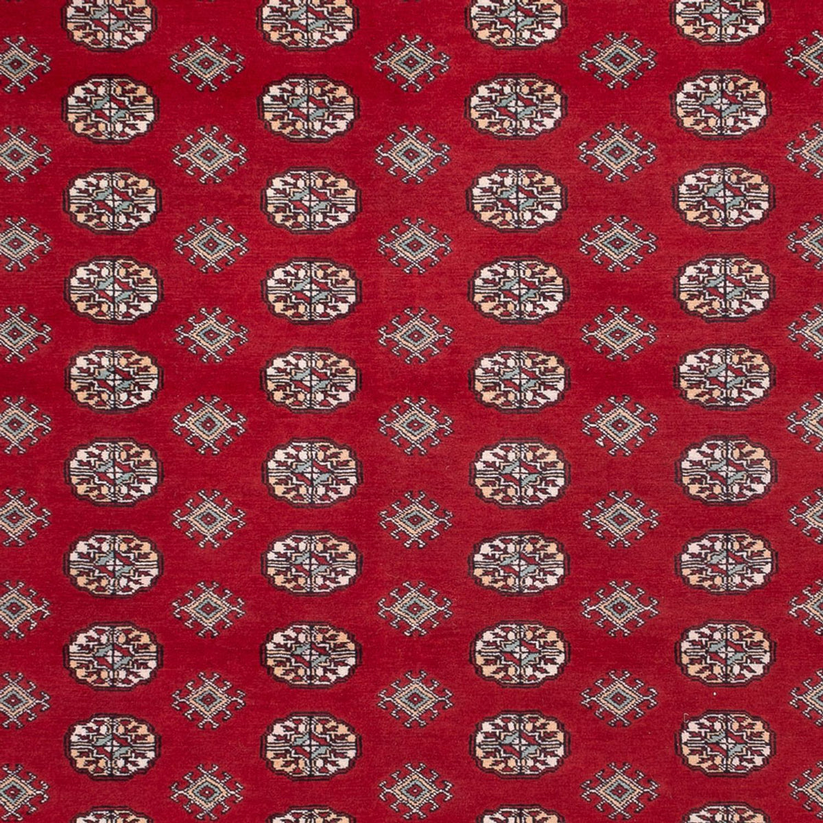 Tappeto afgano - Bukhara - 362 x 278 cm - rosso