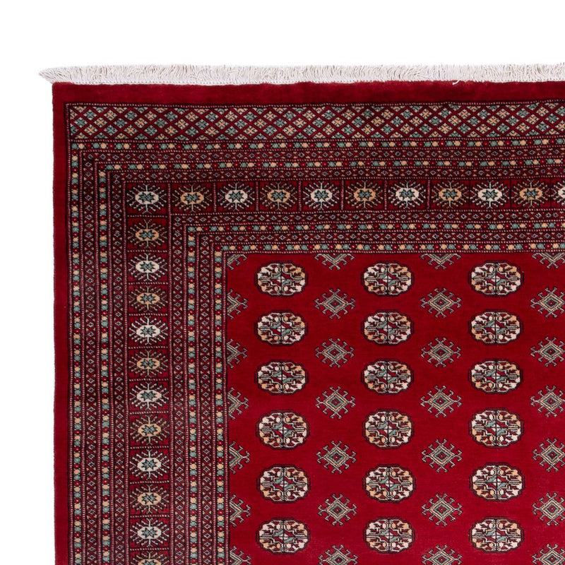 Tappeto afgano - Bukhara - 362 x 278 cm - rosso