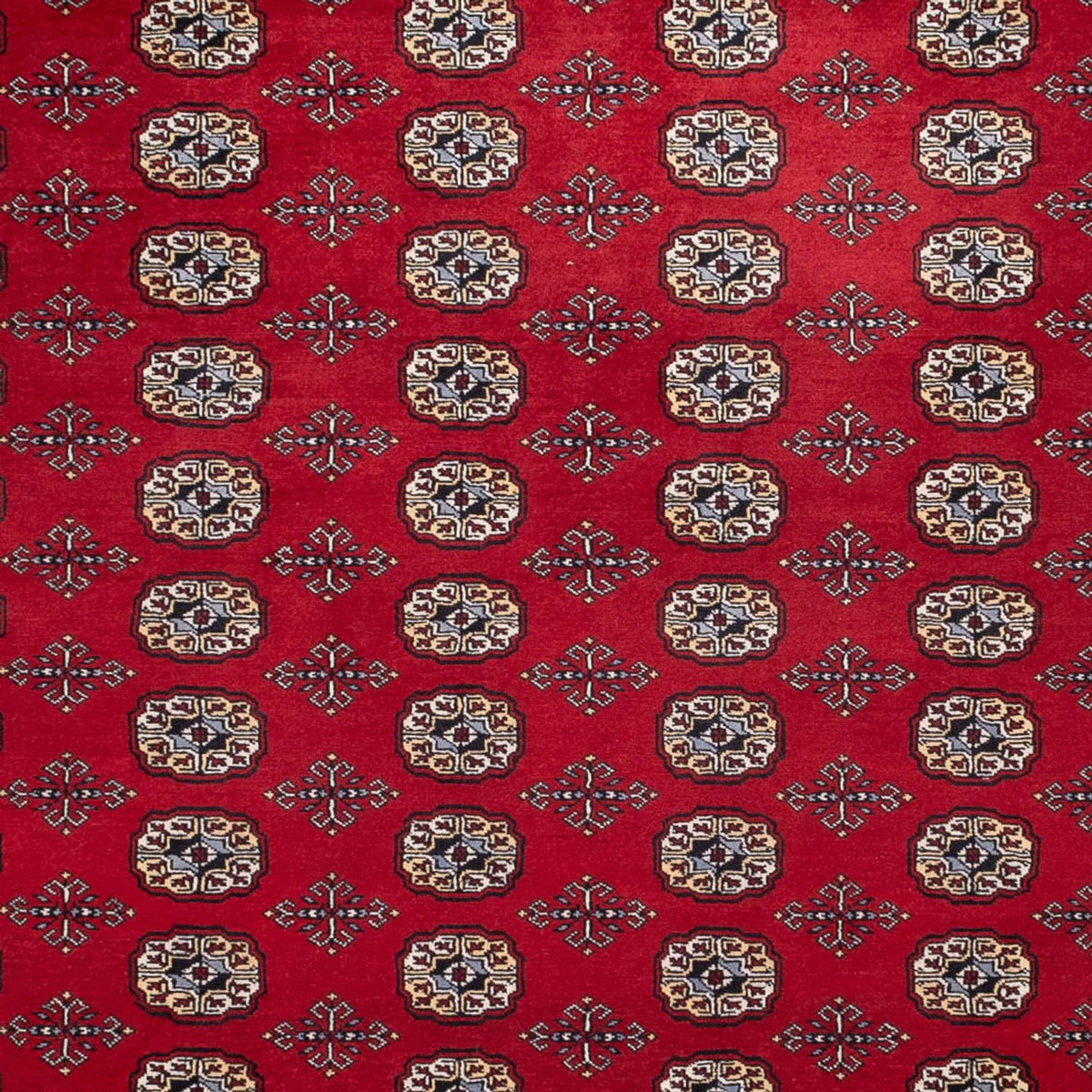 Tappeto afgano - Bukhara - 363 x 280 cm - rosso