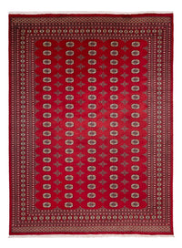 Tappeto afgano - Bukhara - 369 x 275 cm - rosso