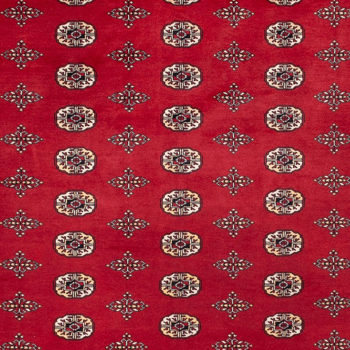 Tappeto afgano - Bukhara - 369 x 275 cm - rosso
