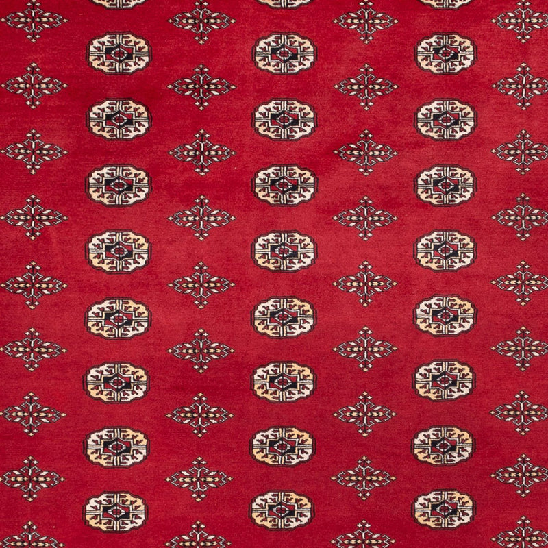 Tappeto afgano - Bukhara - 369 x 275 cm - rosso