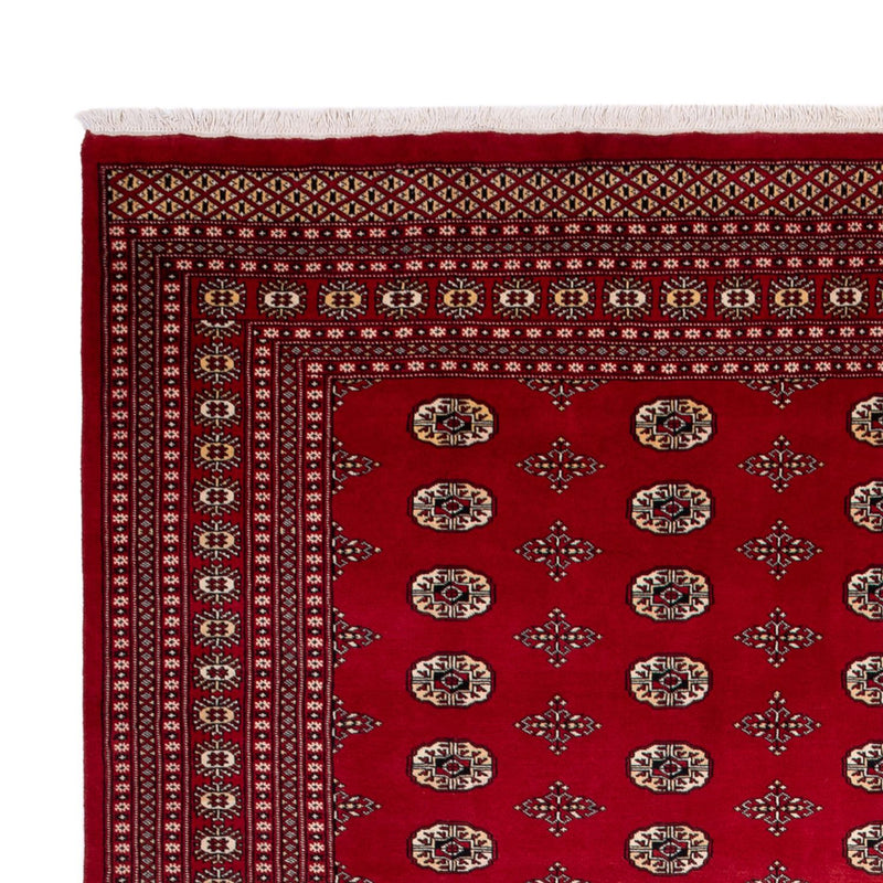 Tappeto afgano - Bukhara - 369 x 275 cm - rosso