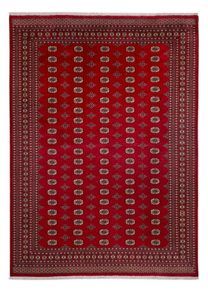 Tappeto afgano - Bukhara - 387 x 276 cm - rosso