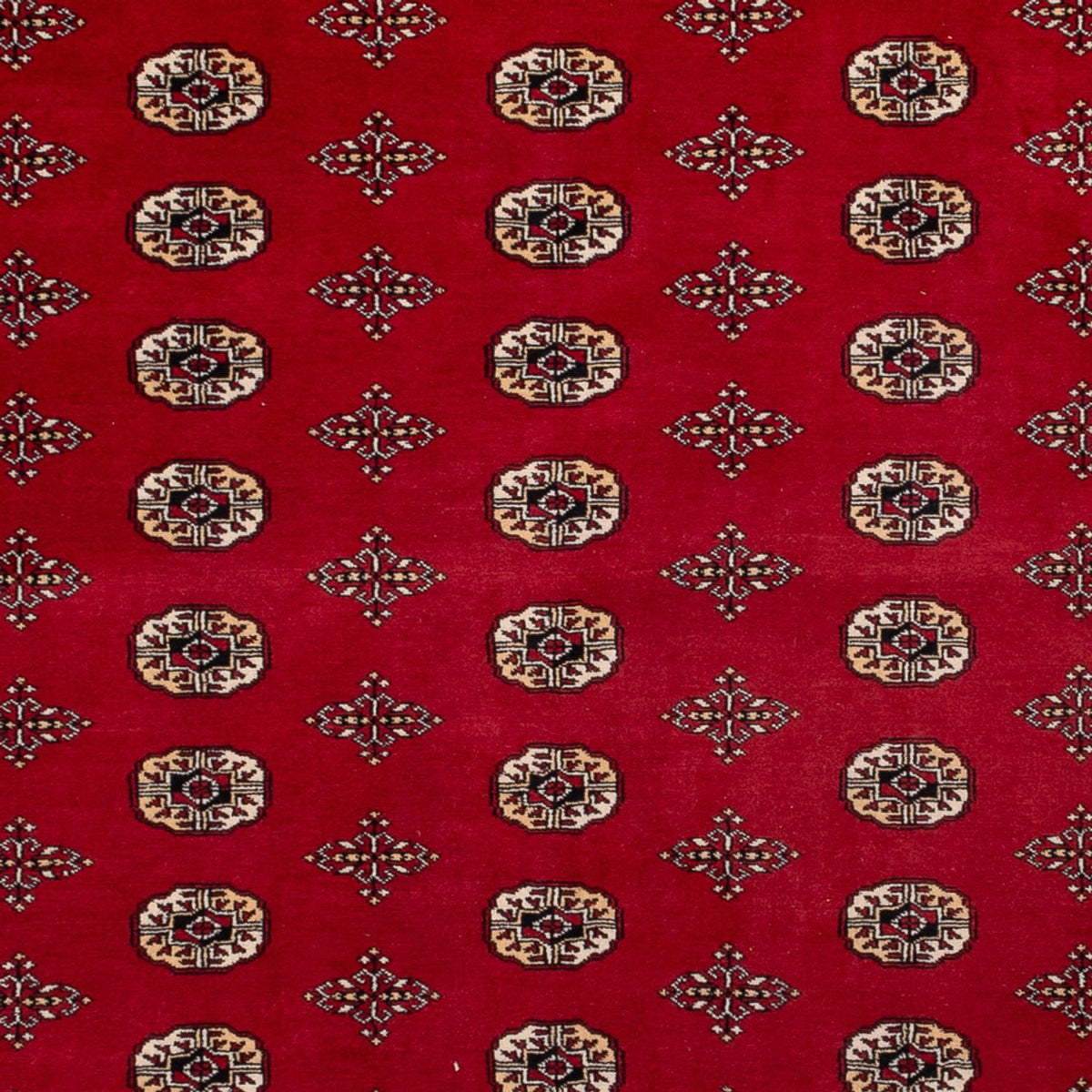 Tappeto afgano - Bukhara - 387 x 276 cm - rosso