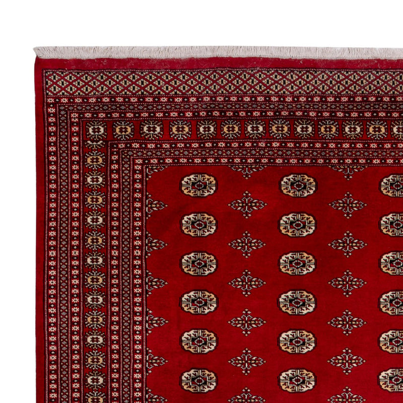 Tappeto afgano - Bukhara - 387 x 276 cm - rosso