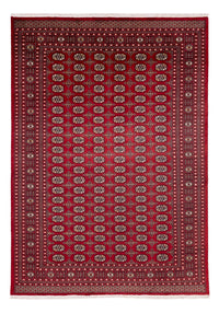 Tappeto afgano - Bukhara - 346 x 241 cm - rosso