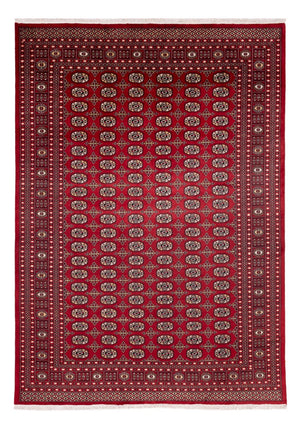 Tappeto afgano - Bukhara - 346 x 241 cm - rosso