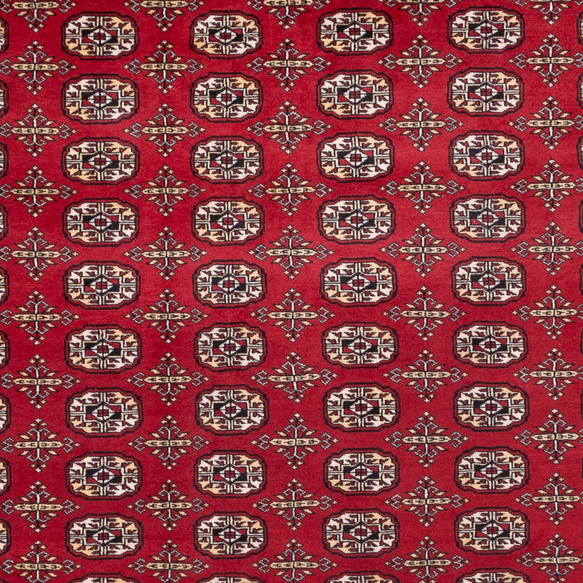 Tappeto afgano - Bukhara - 346 x 241 cm - rosso