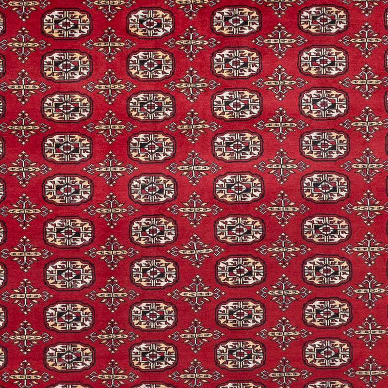 Tappeto afgano - Bukhara - 346 x 241 cm - rosso