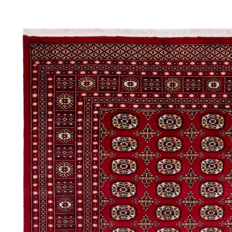 Tappeto afgano - Bukhara - 346 x 241 cm - rosso