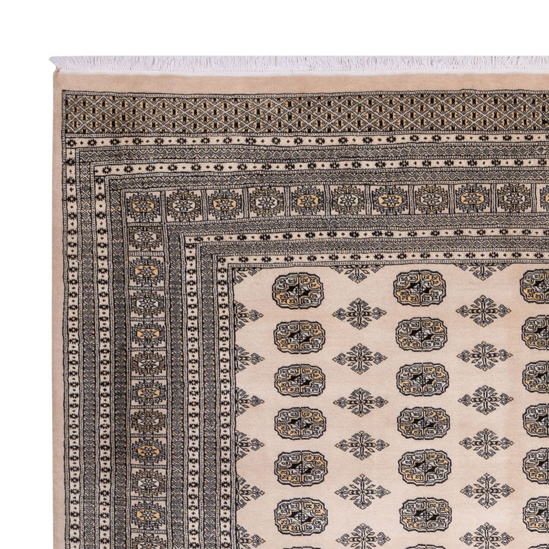 Tappeto afgano - Bukhara - 359 x 278 cm - beige