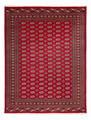 Tappeto afgano - Bukhara - 354 x 275 cm - rosso