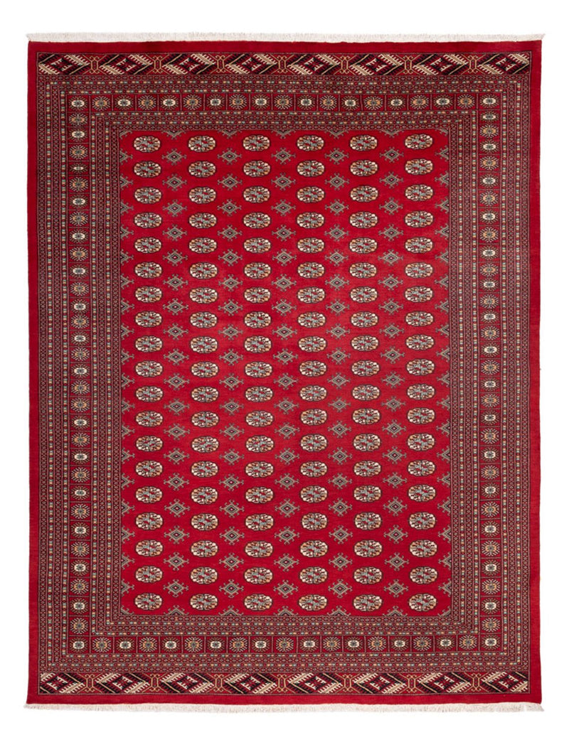 Tappeto afgano - Bukhara - 354 x 275 cm - rosso